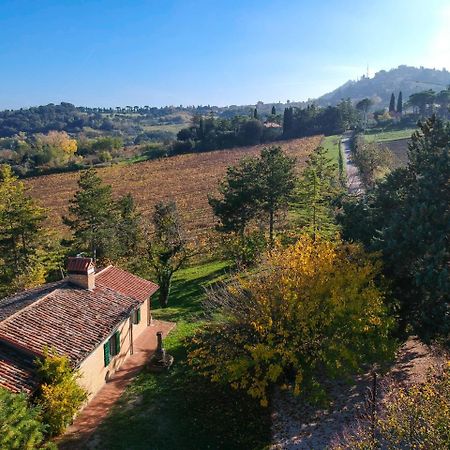 Il Vigneto Cottage Бертиноро Экстерьер фото