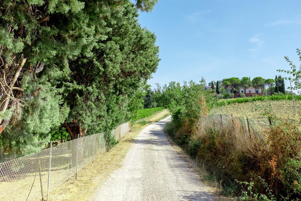 Il Vigneto Cottage Бертиноро Экстерьер фото