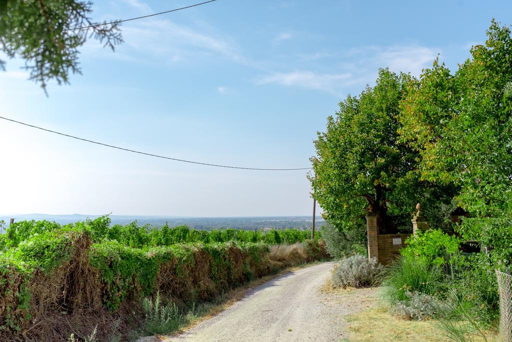 Il Vigneto Cottage Бертиноро Экстерьер фото