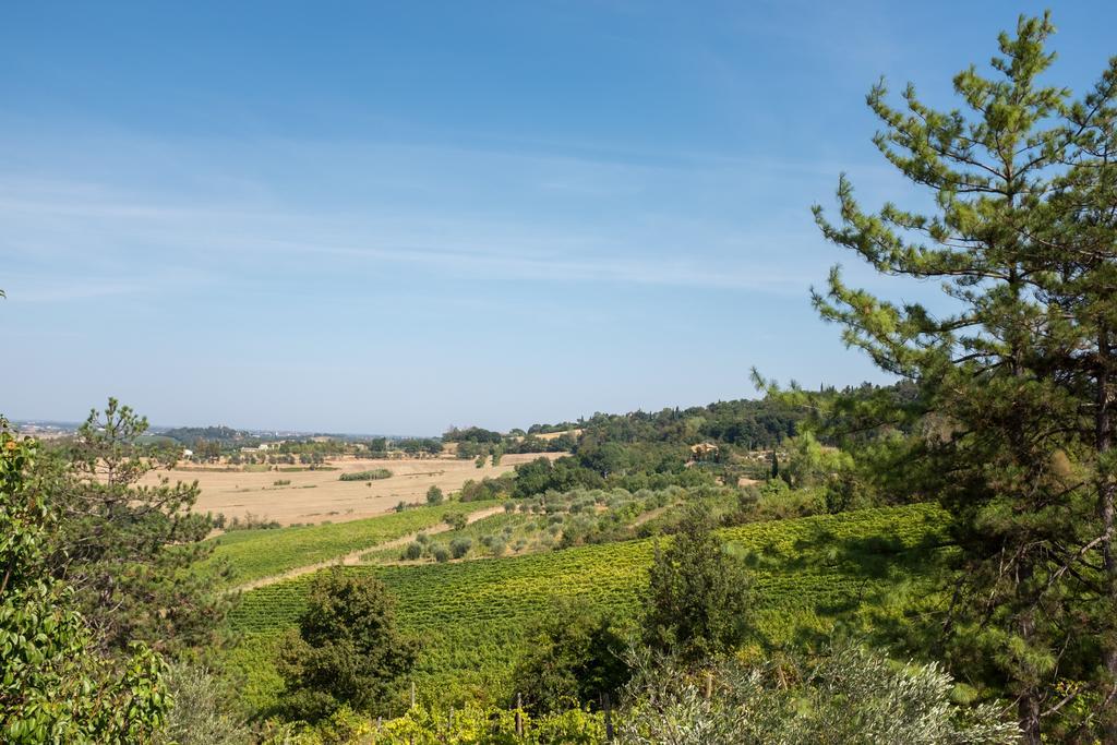 Il Vigneto Cottage Бертиноро Экстерьер фото